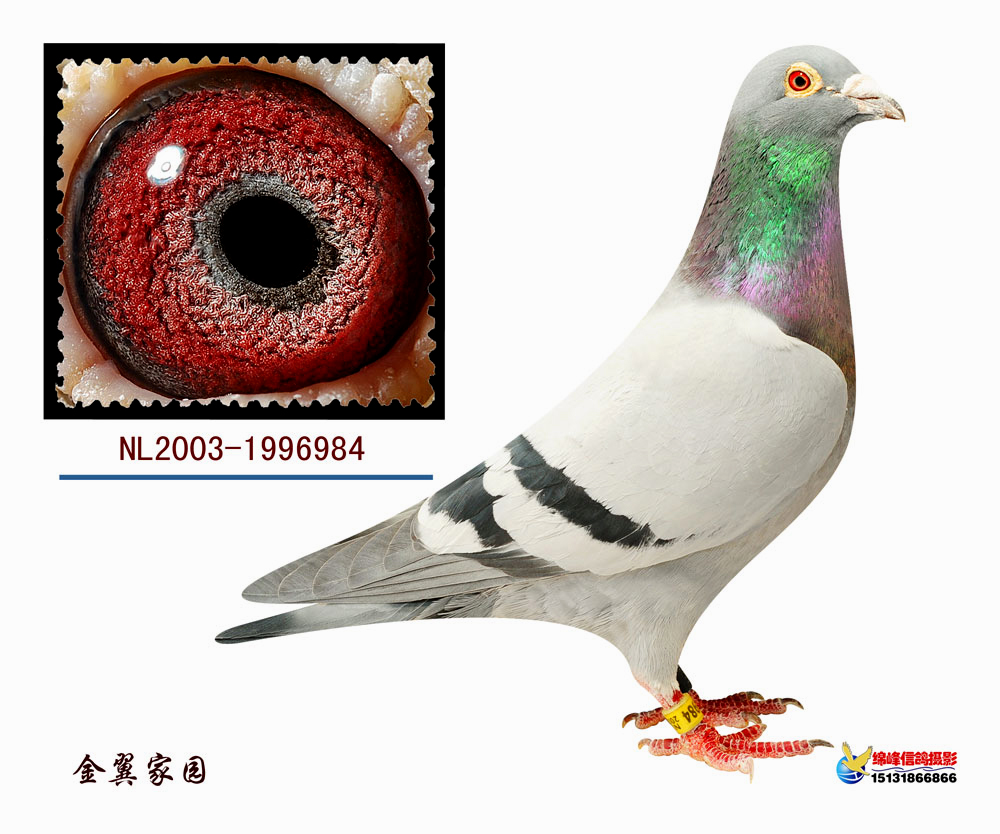 >> 查看拍卖商品