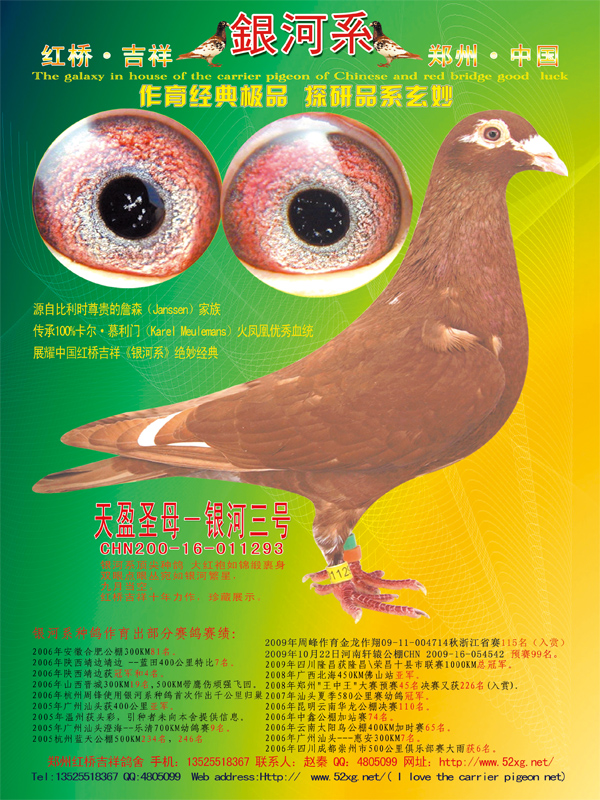 >> 查看拍卖商品