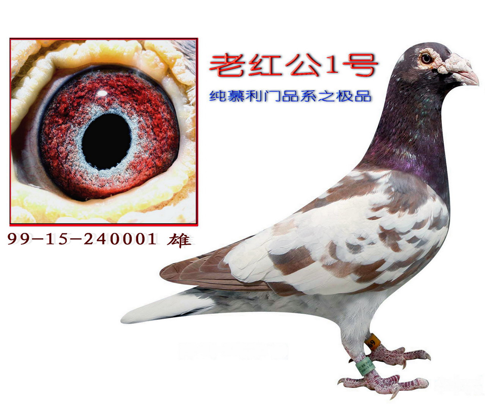 点击查看此商品大图片