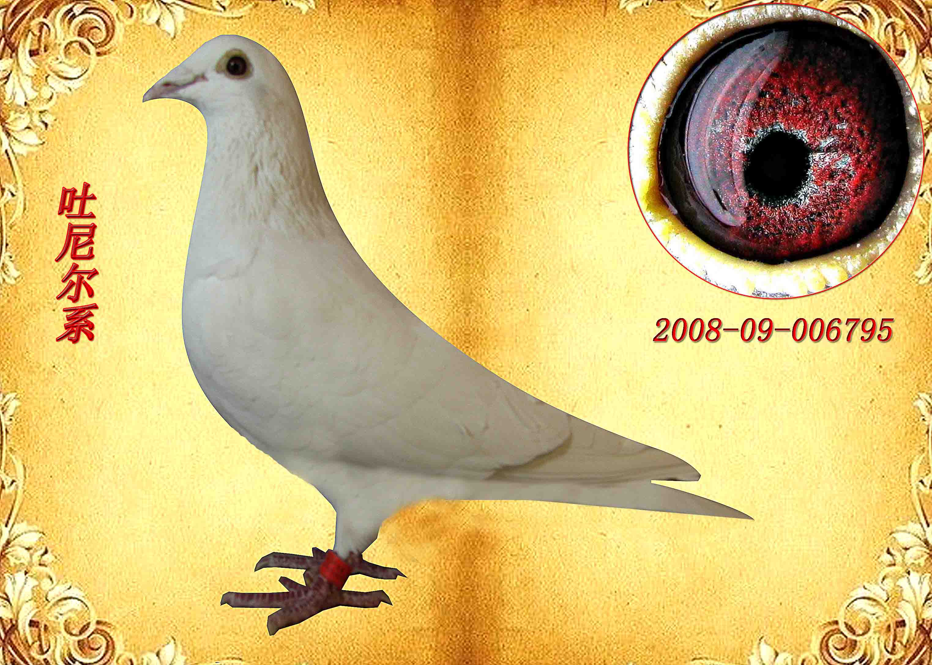 >> 查看拍卖商品