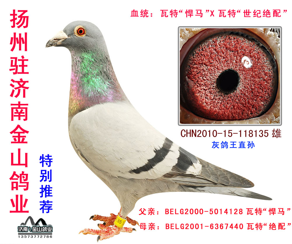 瓦特"悍马"x瓦特"世纪绝配" 保证金级 拍卖