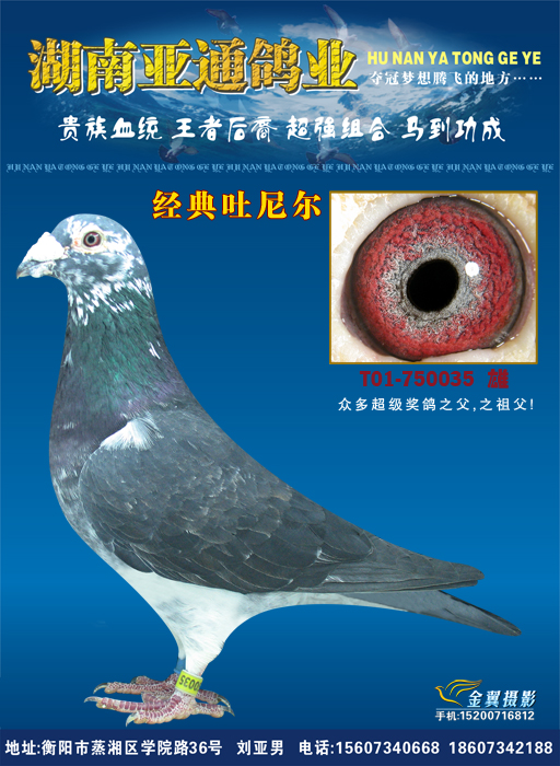 >> 查看拍卖商品