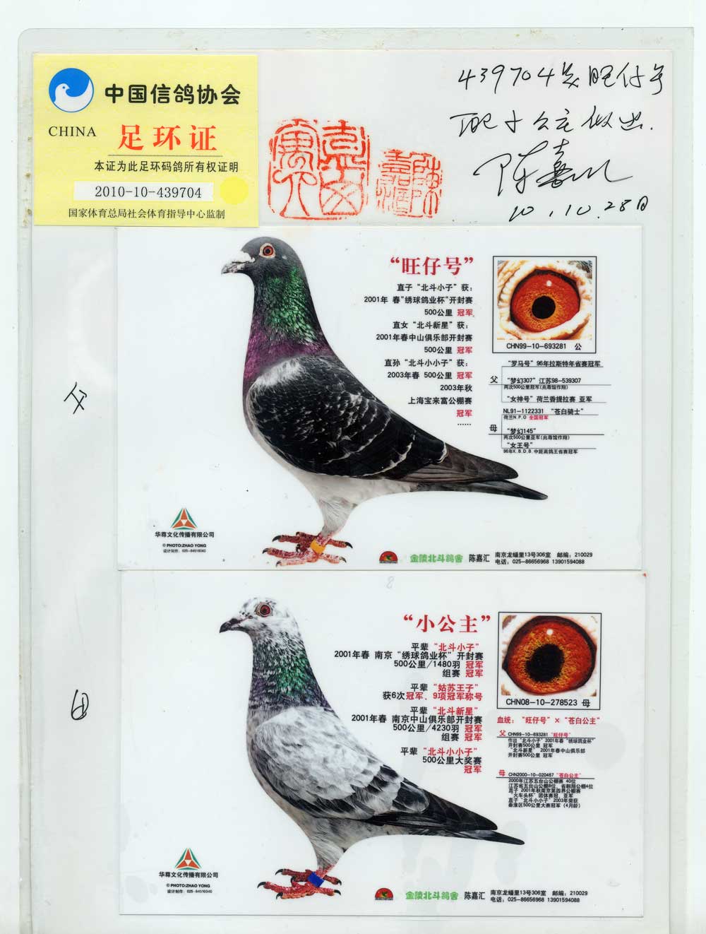 信鸽在线拍卖平台 - 中国信鸽信息网