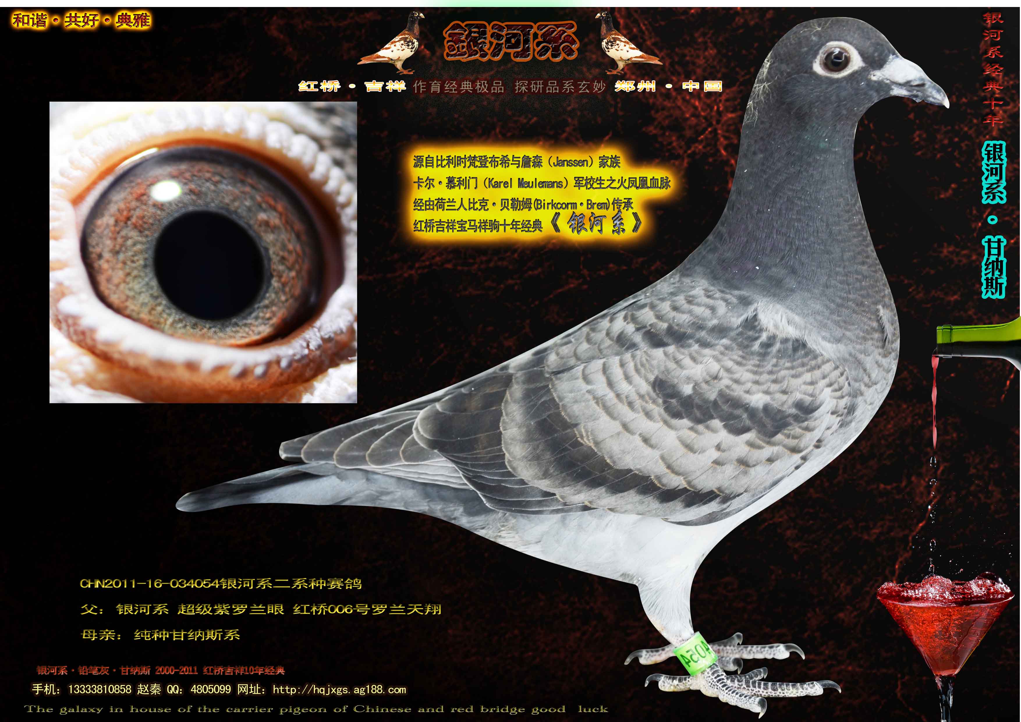 >> 查看拍卖商品