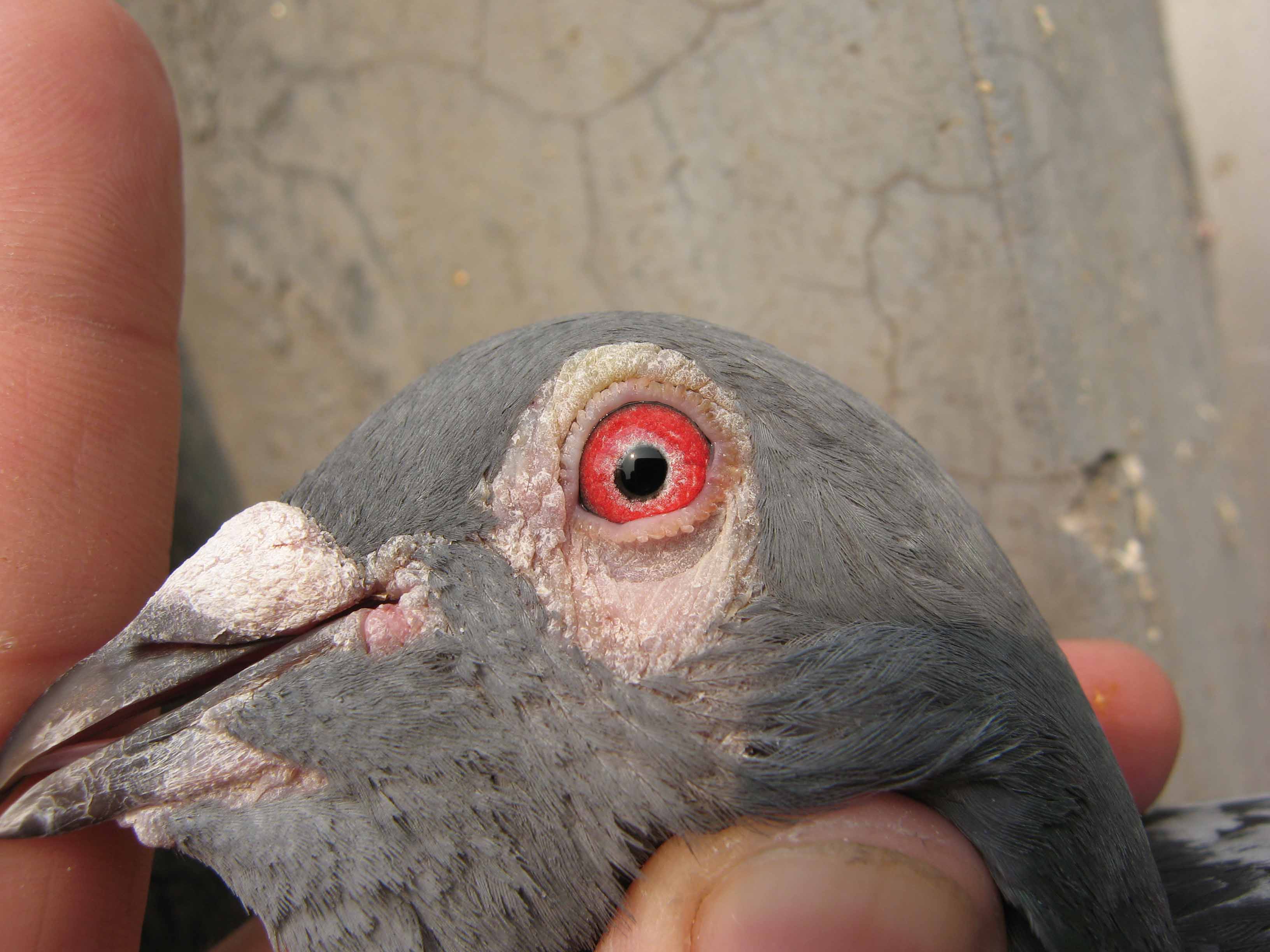 >> 查看拍卖商品