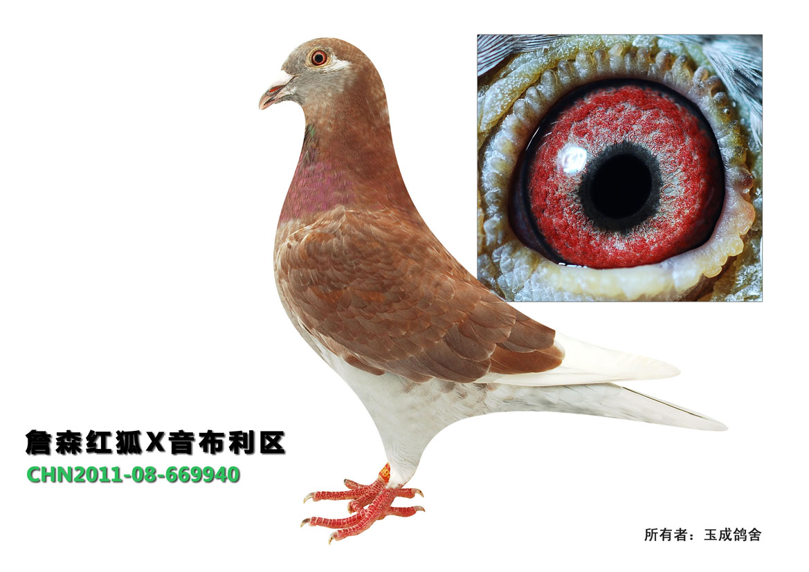 >> 查看拍卖商品