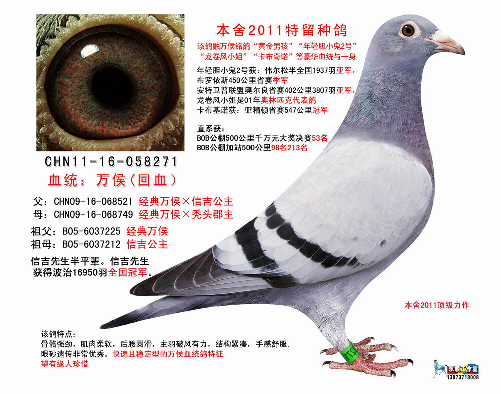 万侯 保证金级 拍卖