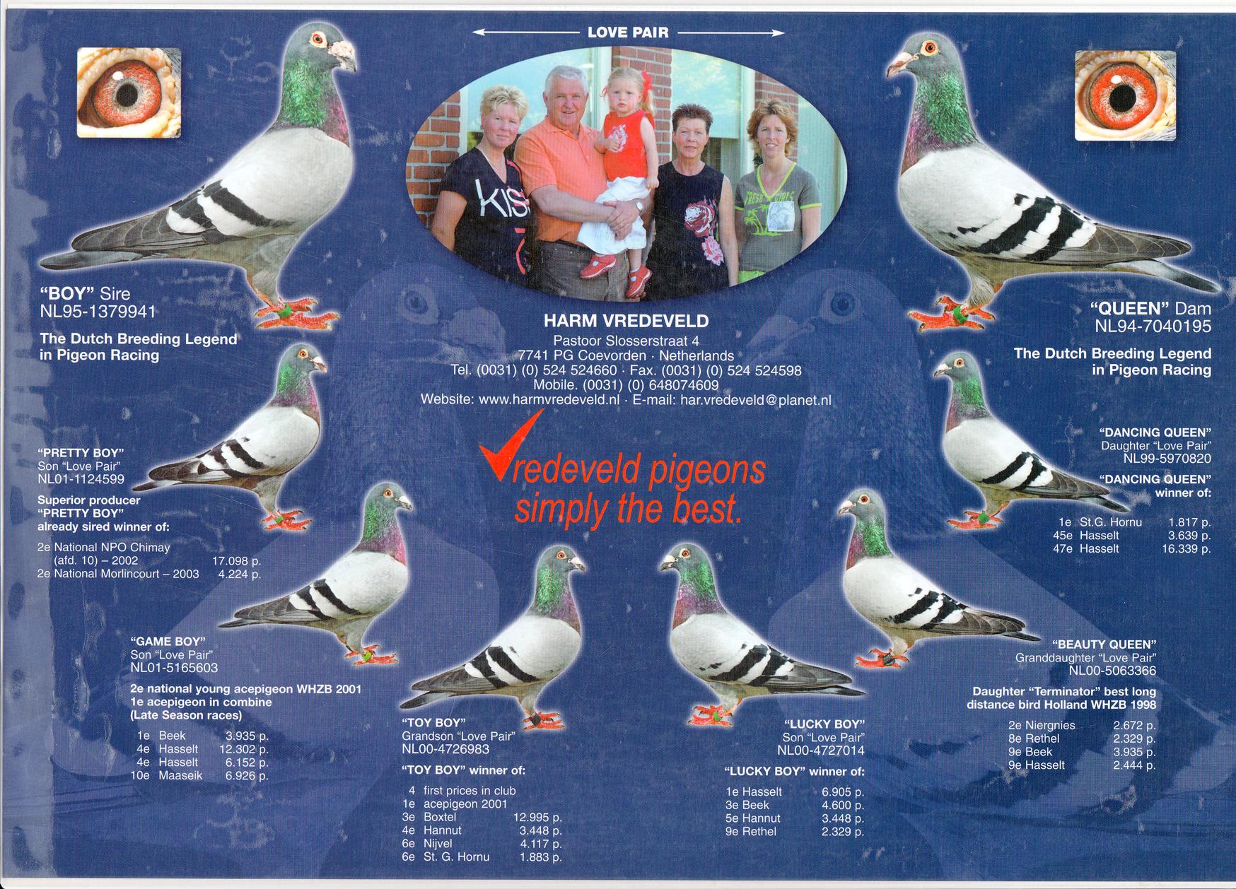 荷兰虎后家族--哈姆