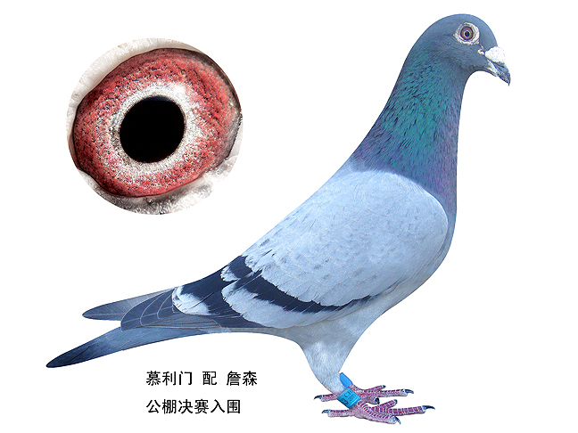 >> 查看拍卖商品