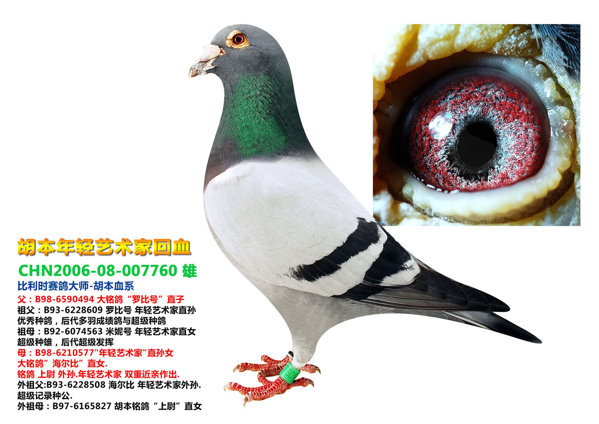 >> 查看拍卖商品