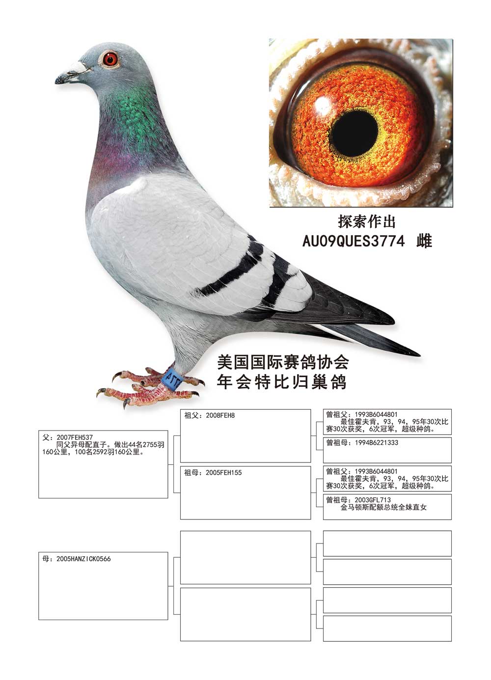 >> 查看拍賣商品