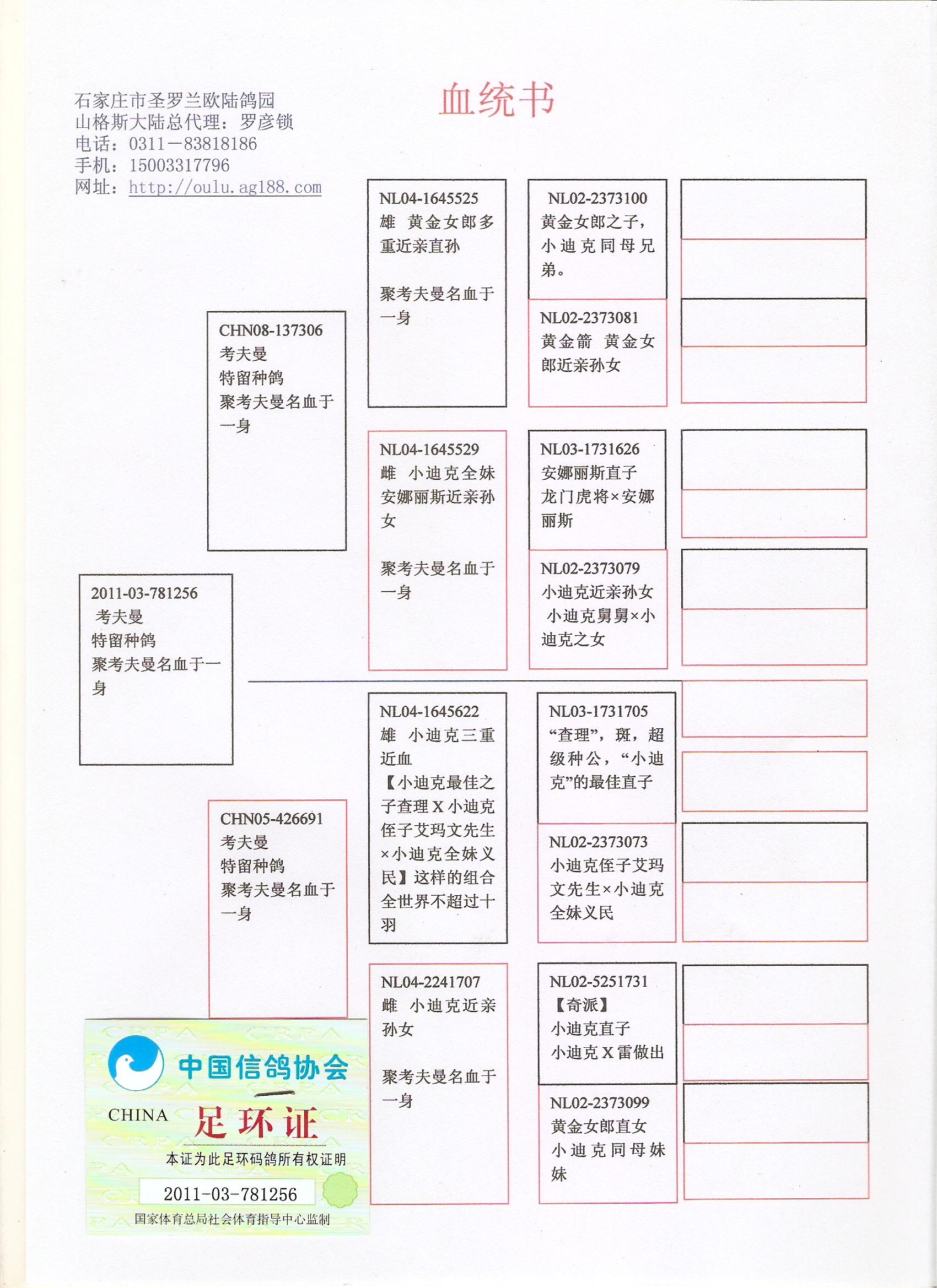 >> 查看拍卖商品