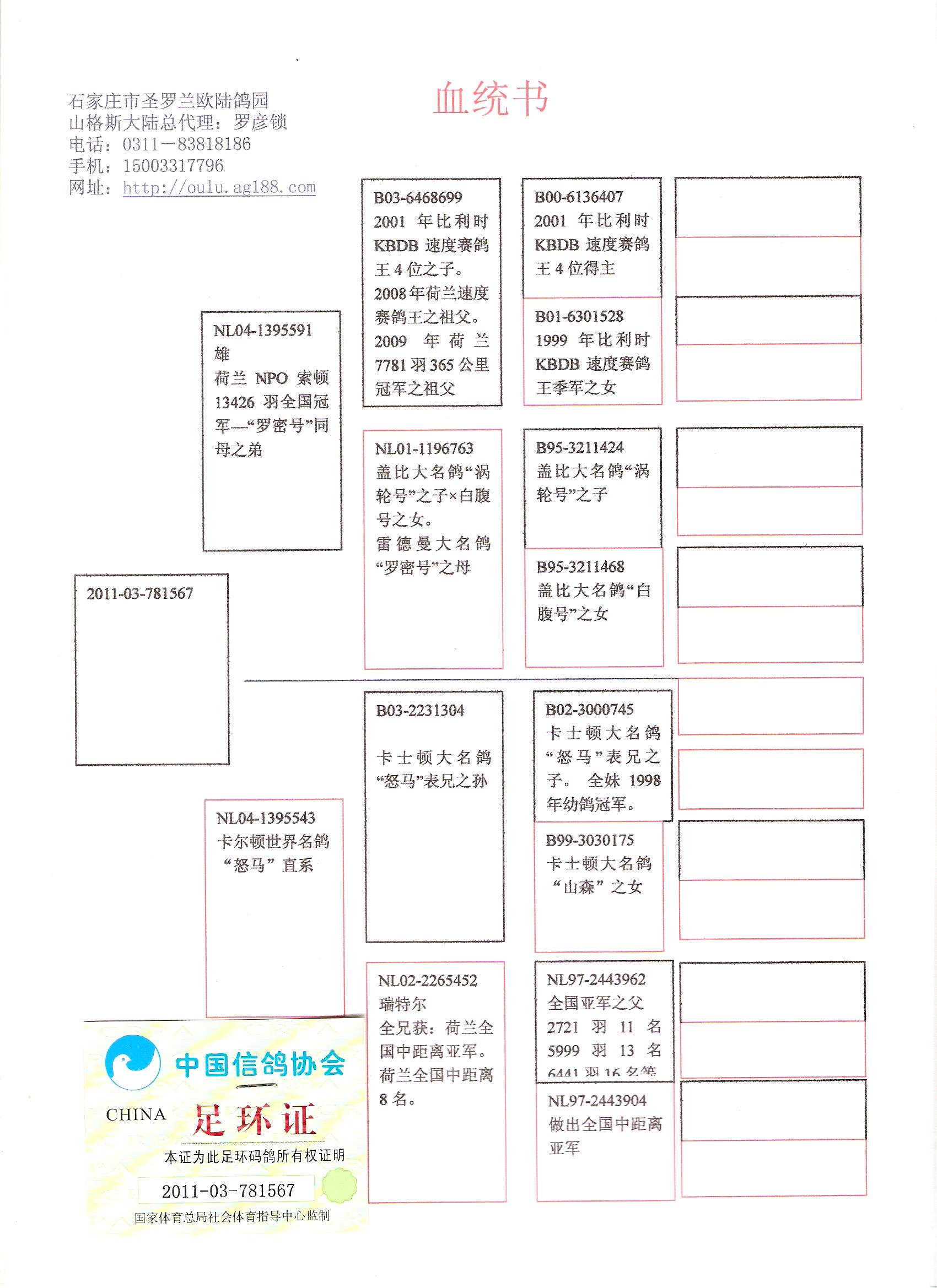 中国信鸽铭鸽展厅图片