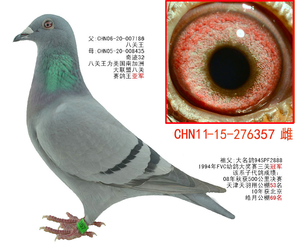 八关王*林波尔奇迹32 保证金级 拍卖