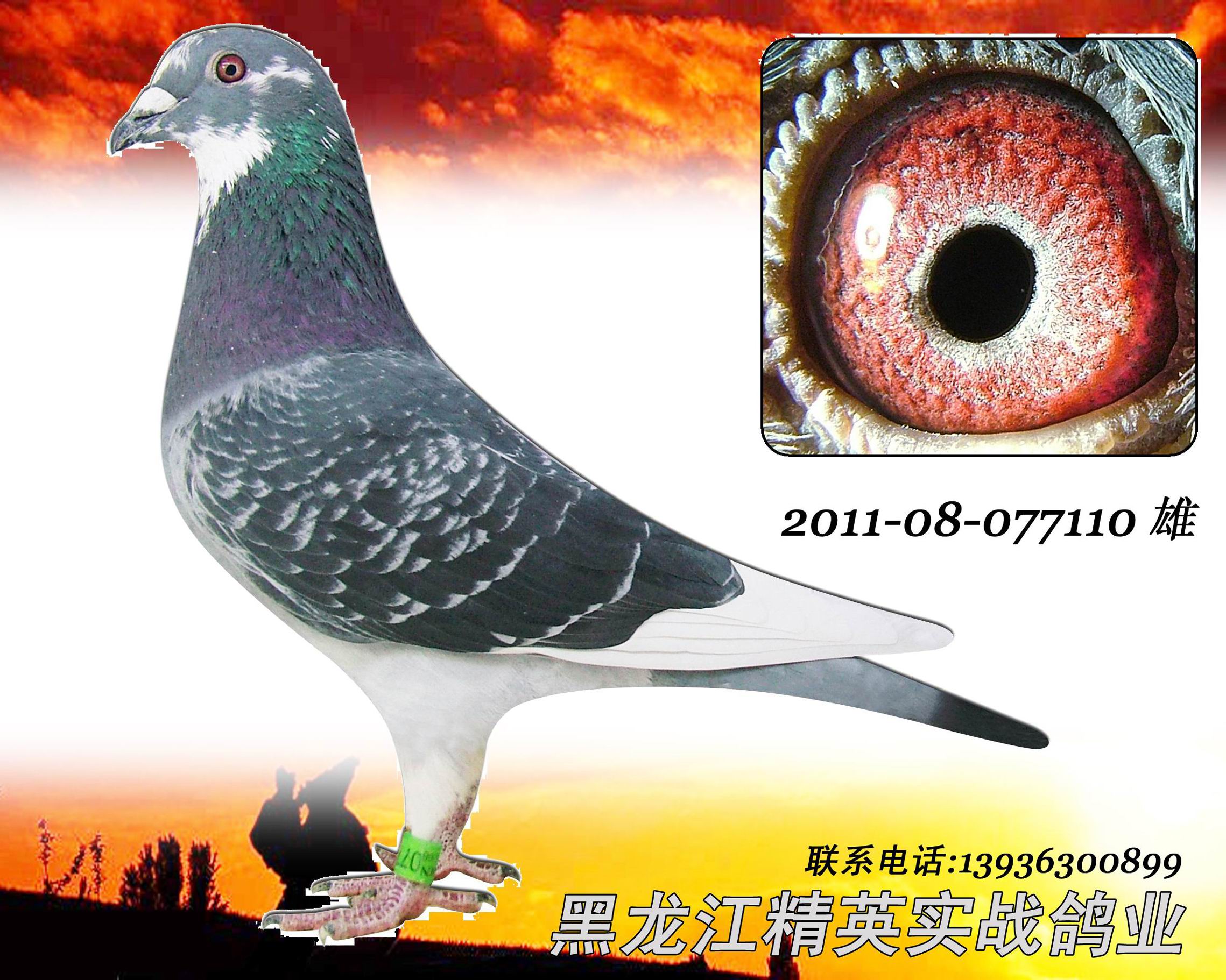 >> 查看拍卖商品