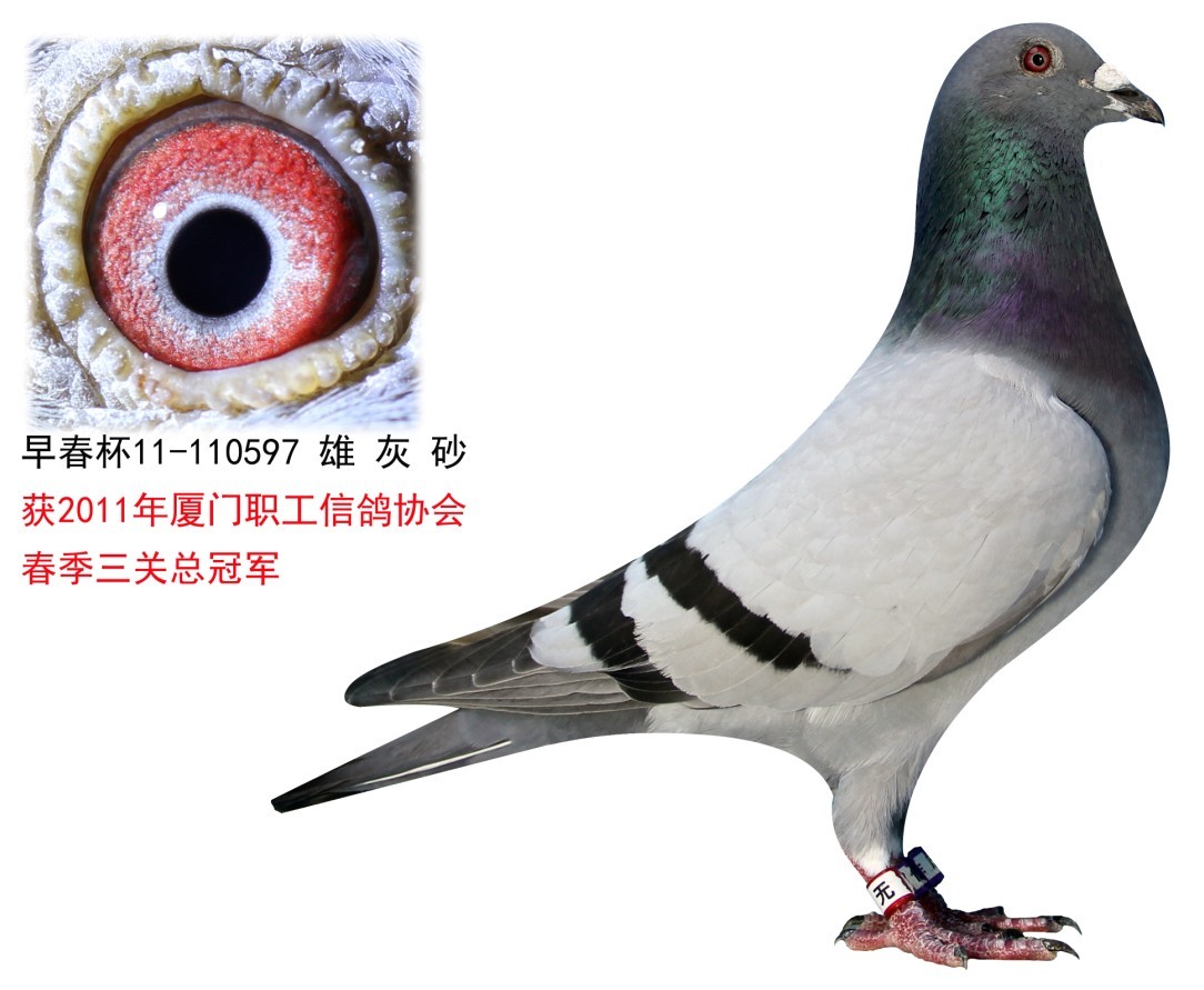 >> 查看拍卖商品