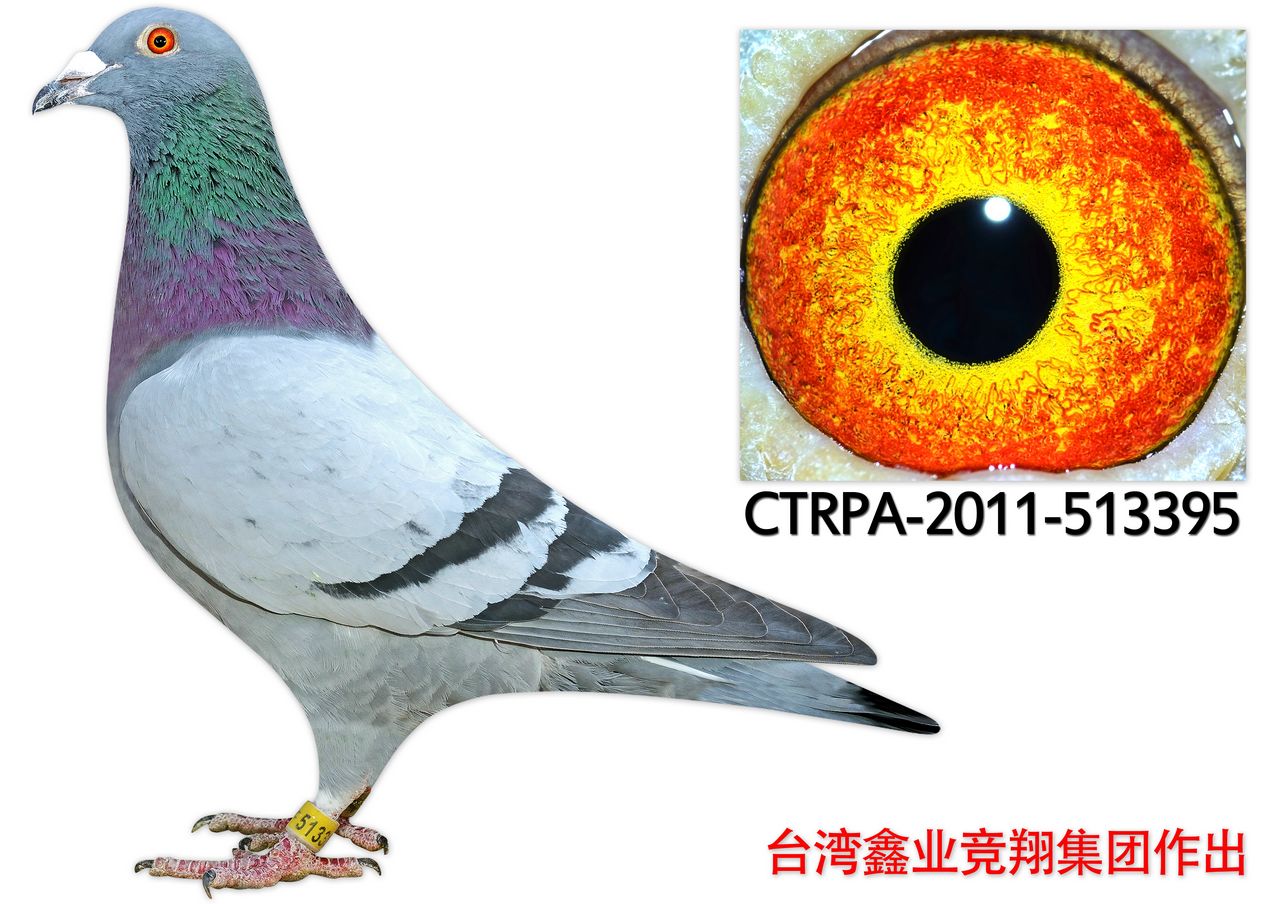 ctrpa-2011-513395 保证金级 拍卖