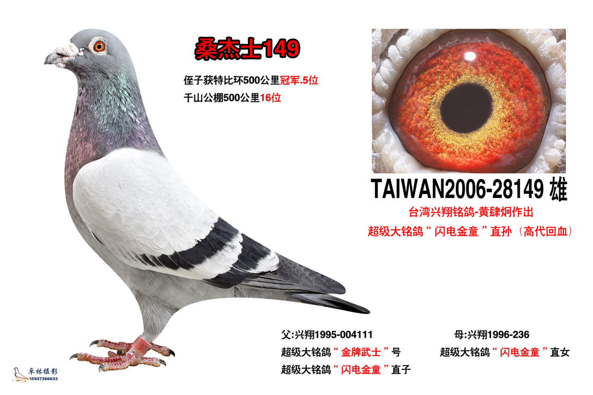 >> 查看拍卖商品