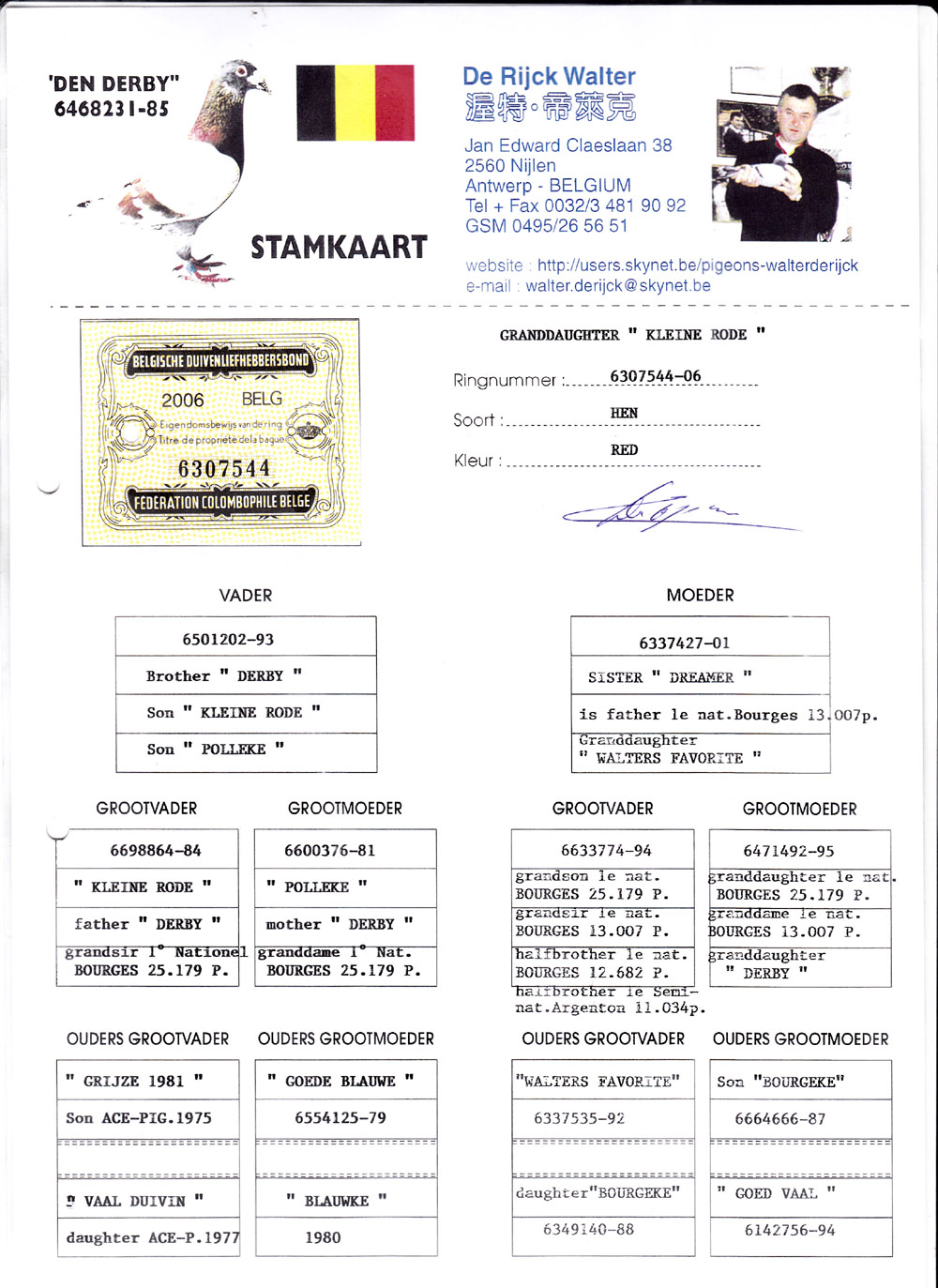 >> 查看拍卖商品