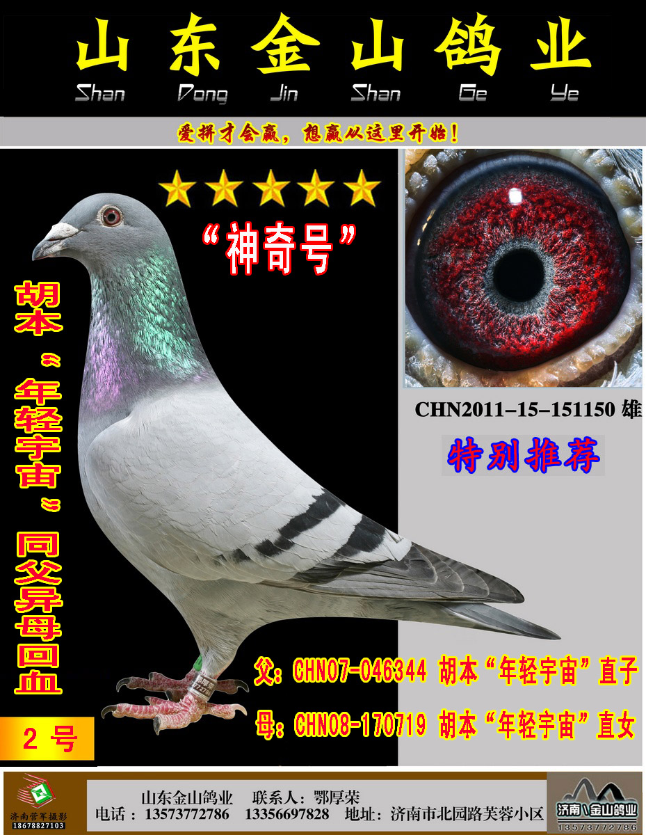 胡本"年轻宇宙"同父异母回血 保证金级 拍卖