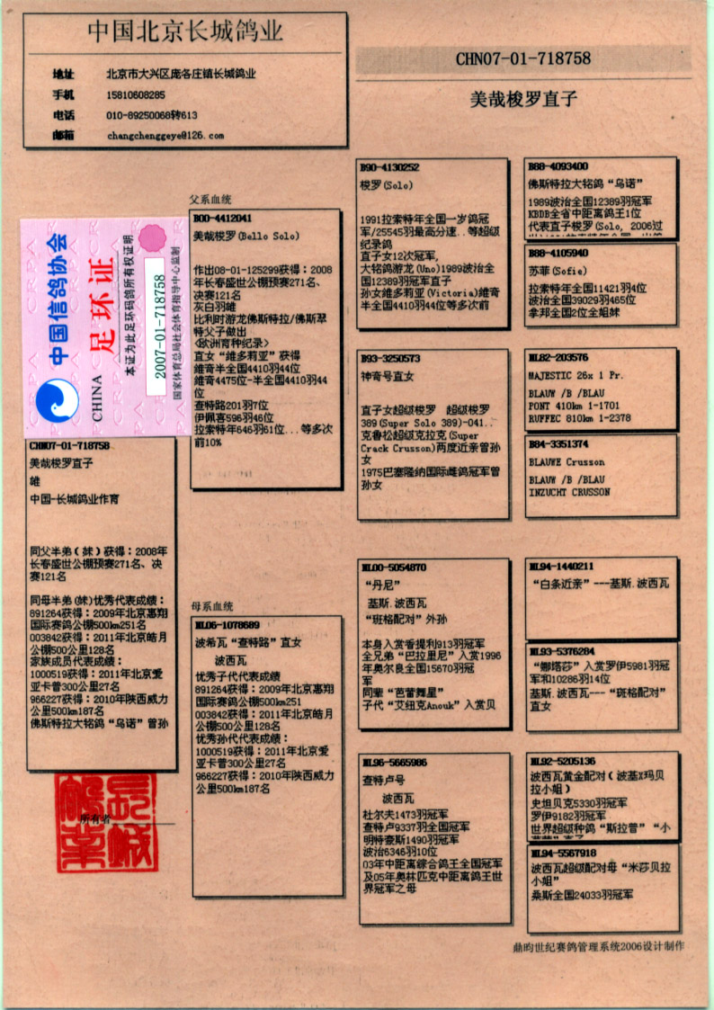 中国长城鸽业-31 保证金级 拍卖