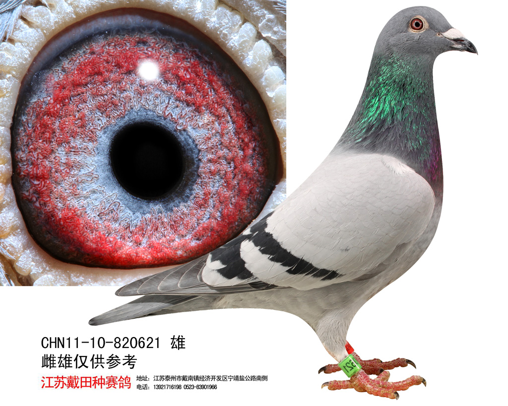 >> 查看拍卖商品