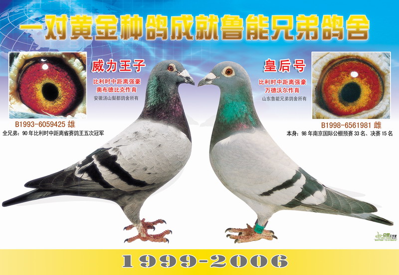 威力王子及皇后号