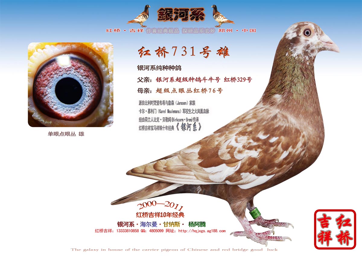 >> 查看拍卖商品