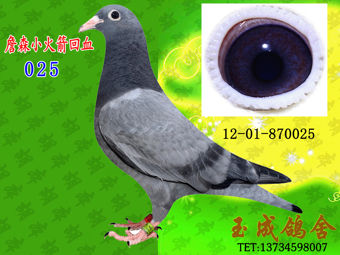 >> 查看拍卖商品