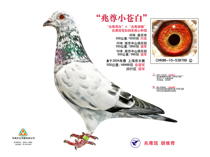 "兆尊小苍白"直女 保证金级 拍卖