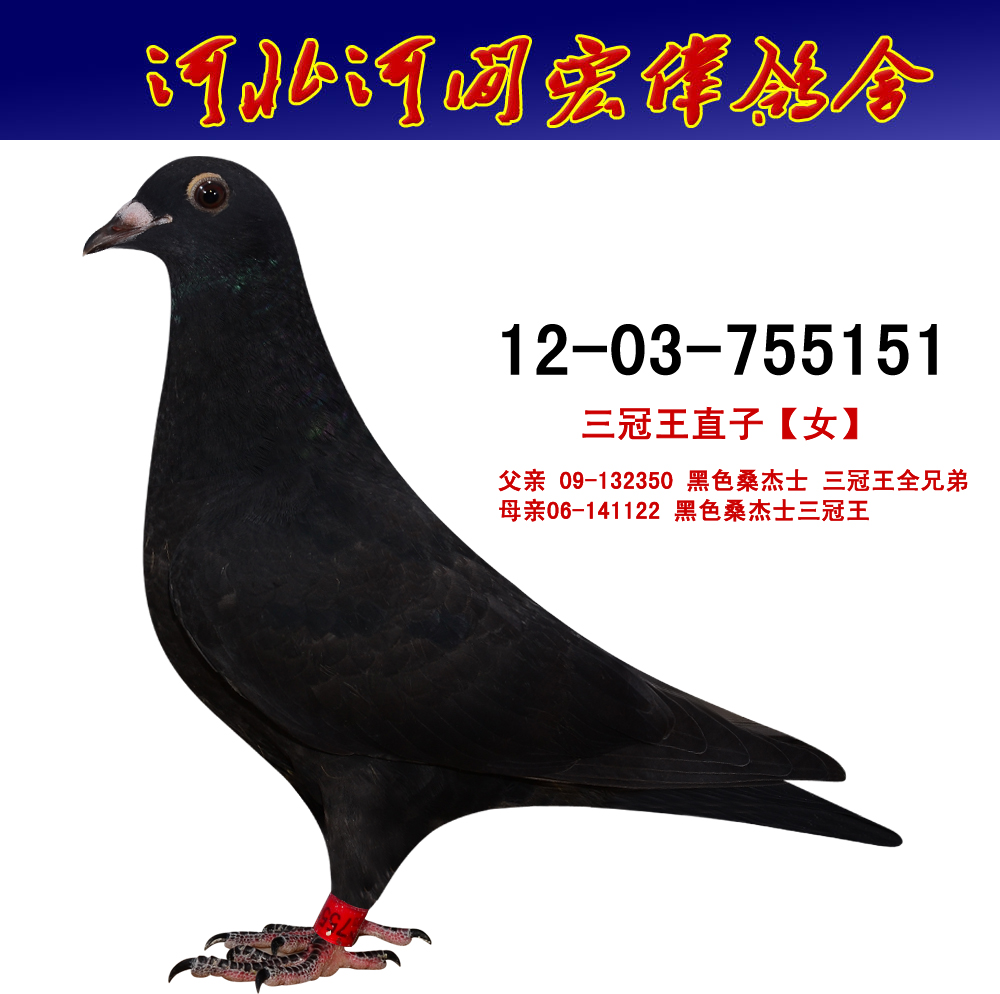 >> 查看拍卖商品