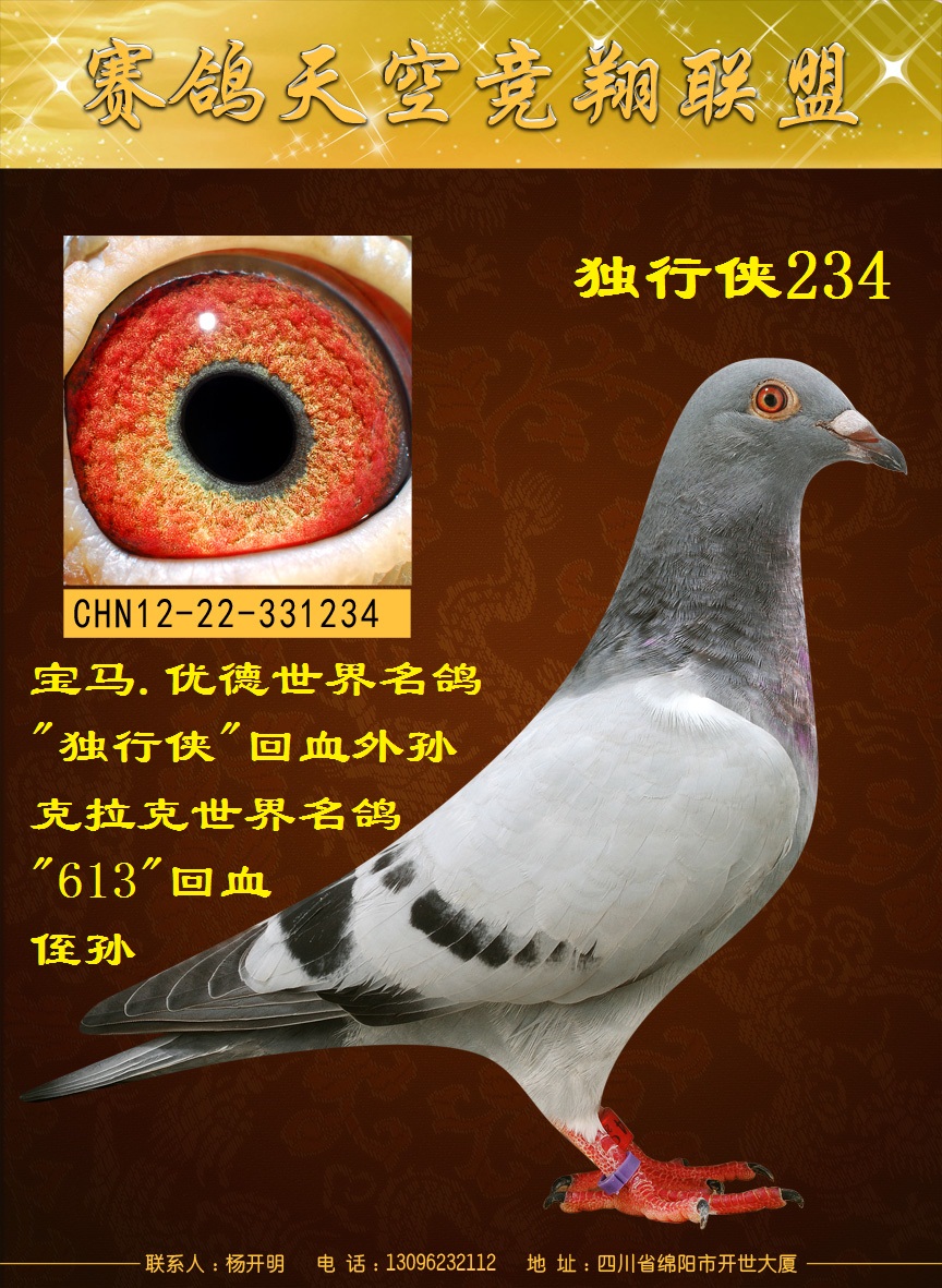 >> 查看拍卖商品
