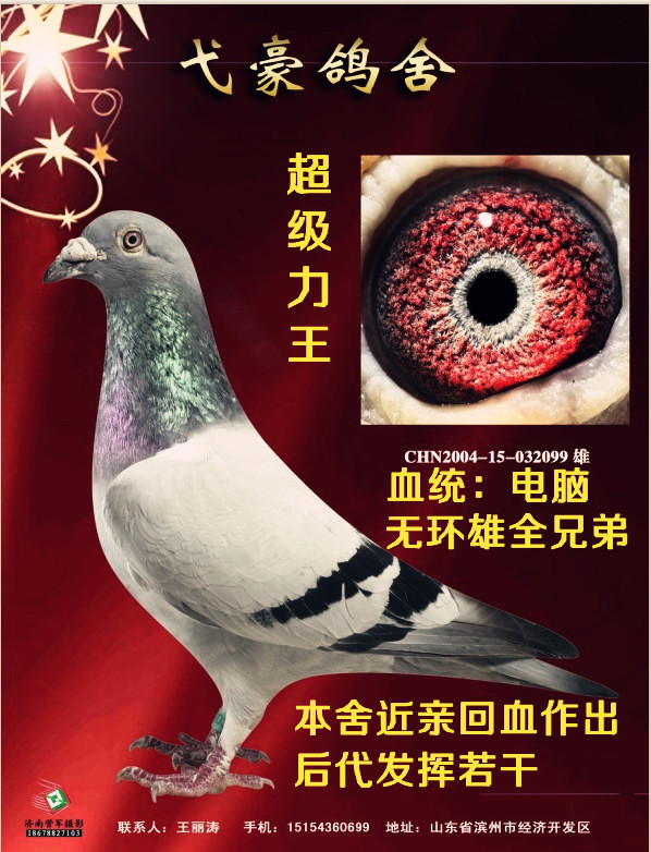 >> 查看拍卖商品