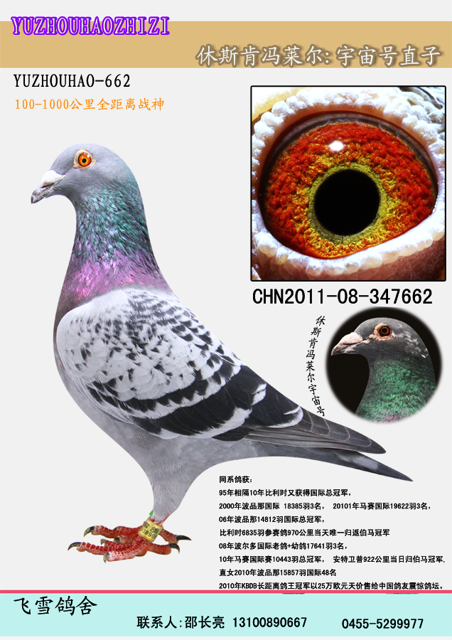 >> 查看拍卖商品