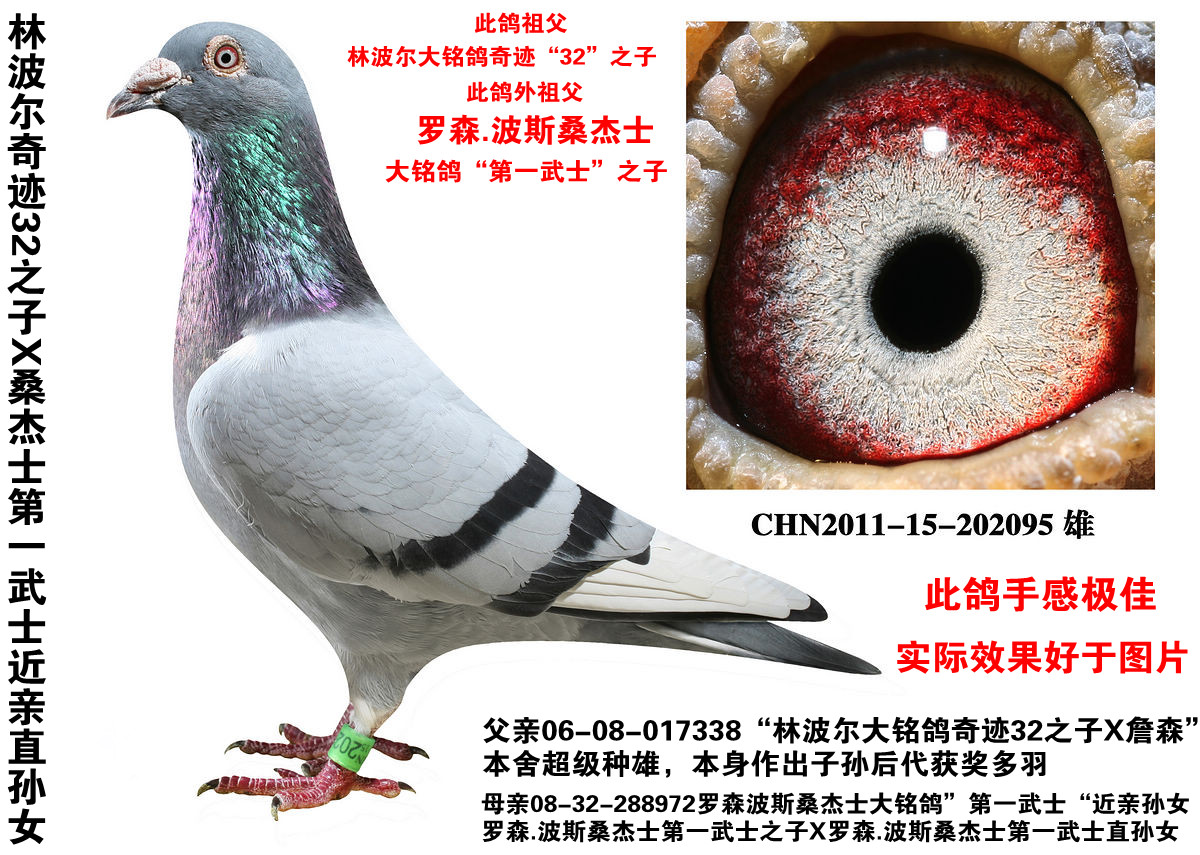 >> 查看拍卖商品