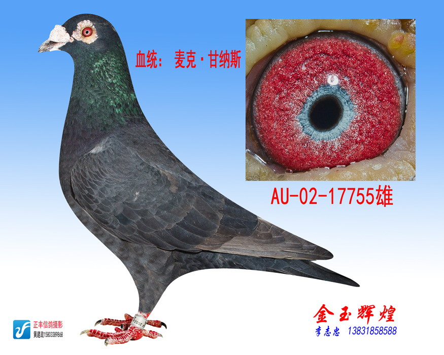 甘纳斯x彼得米卫 保证金级 拍卖