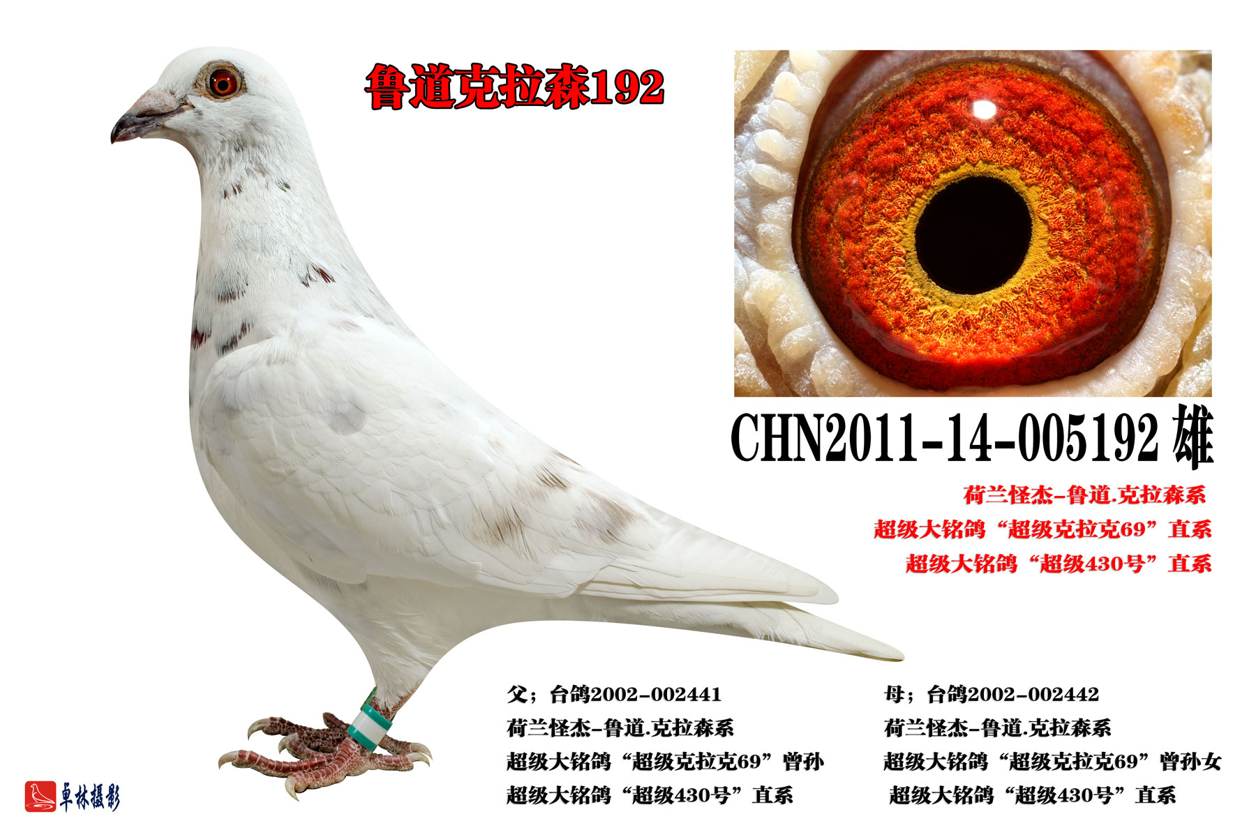 (2)鲁道克拉森192 保证金级 拍卖