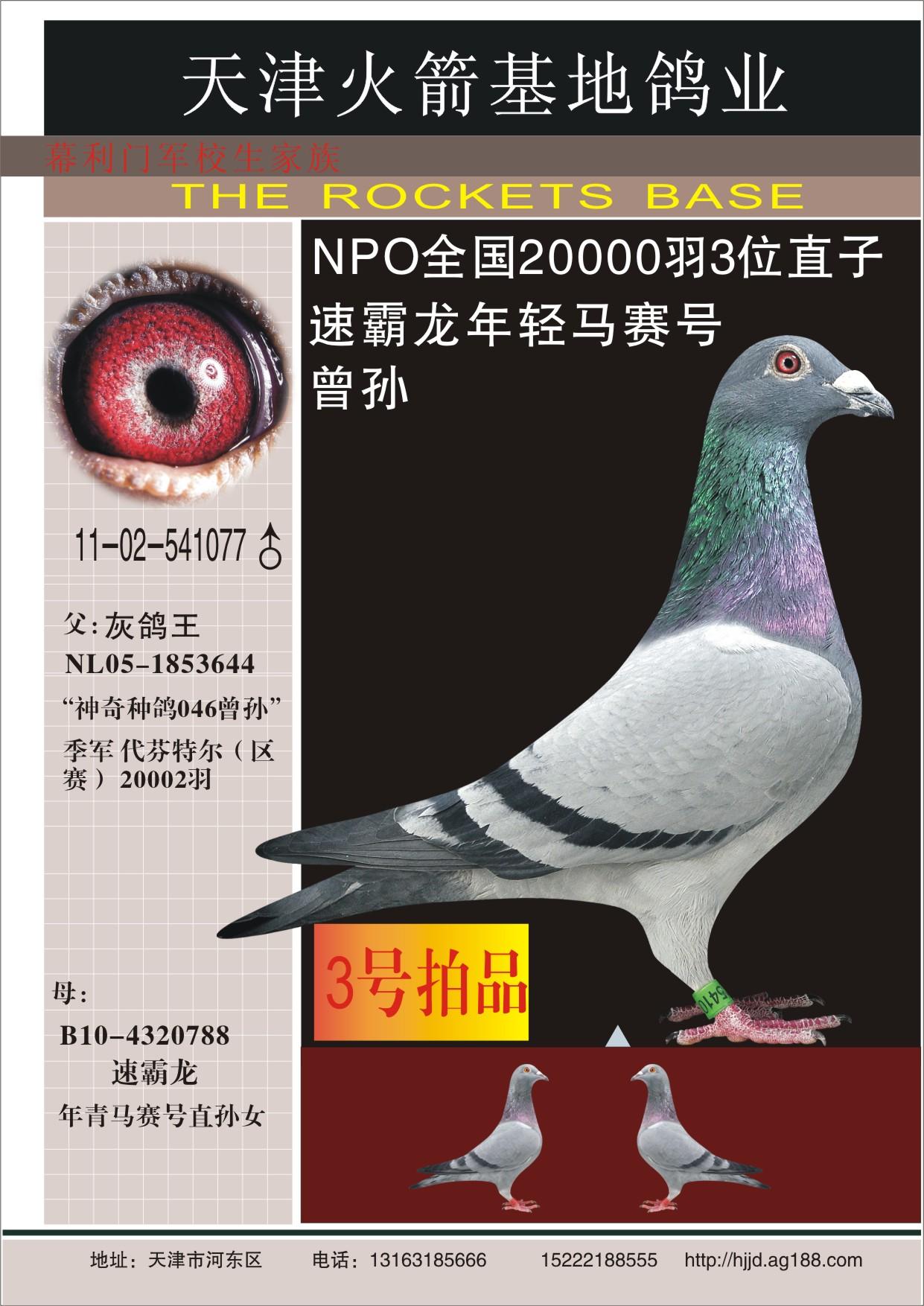 >> 查看拍卖商品 相关图片         商品信息 商品编号: 103119  足环