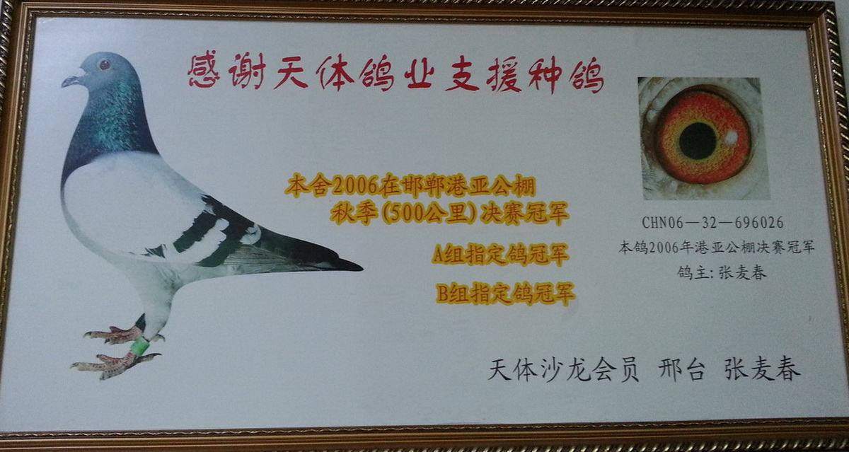 天体鸽业 - 中信网铭鸽展厅 www.ag188.com