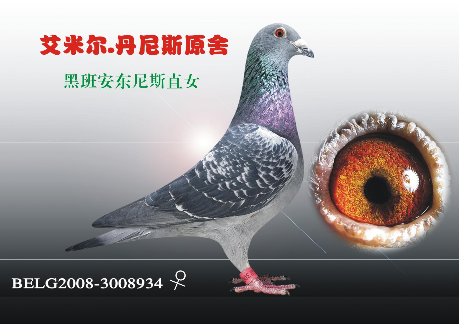 丹尼斯原舍 保证金级 拍卖