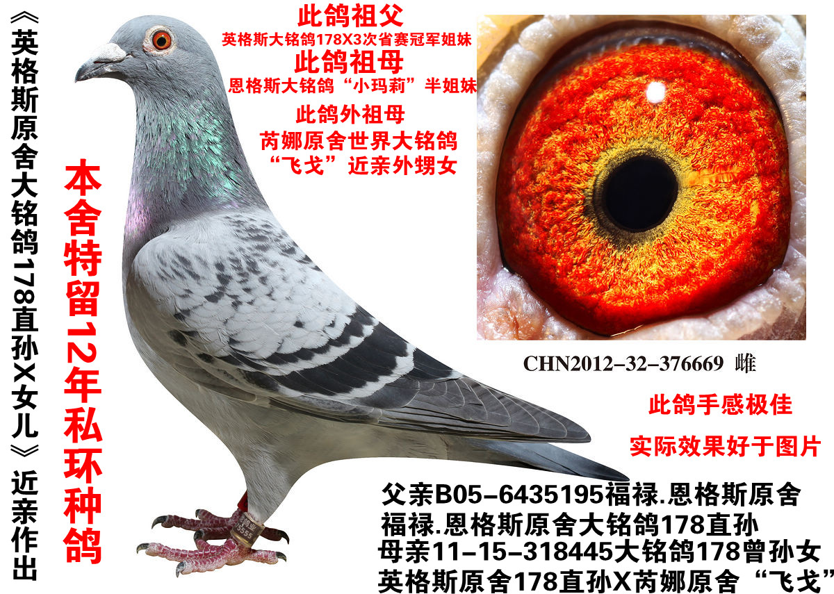 >> 查看拍卖商品