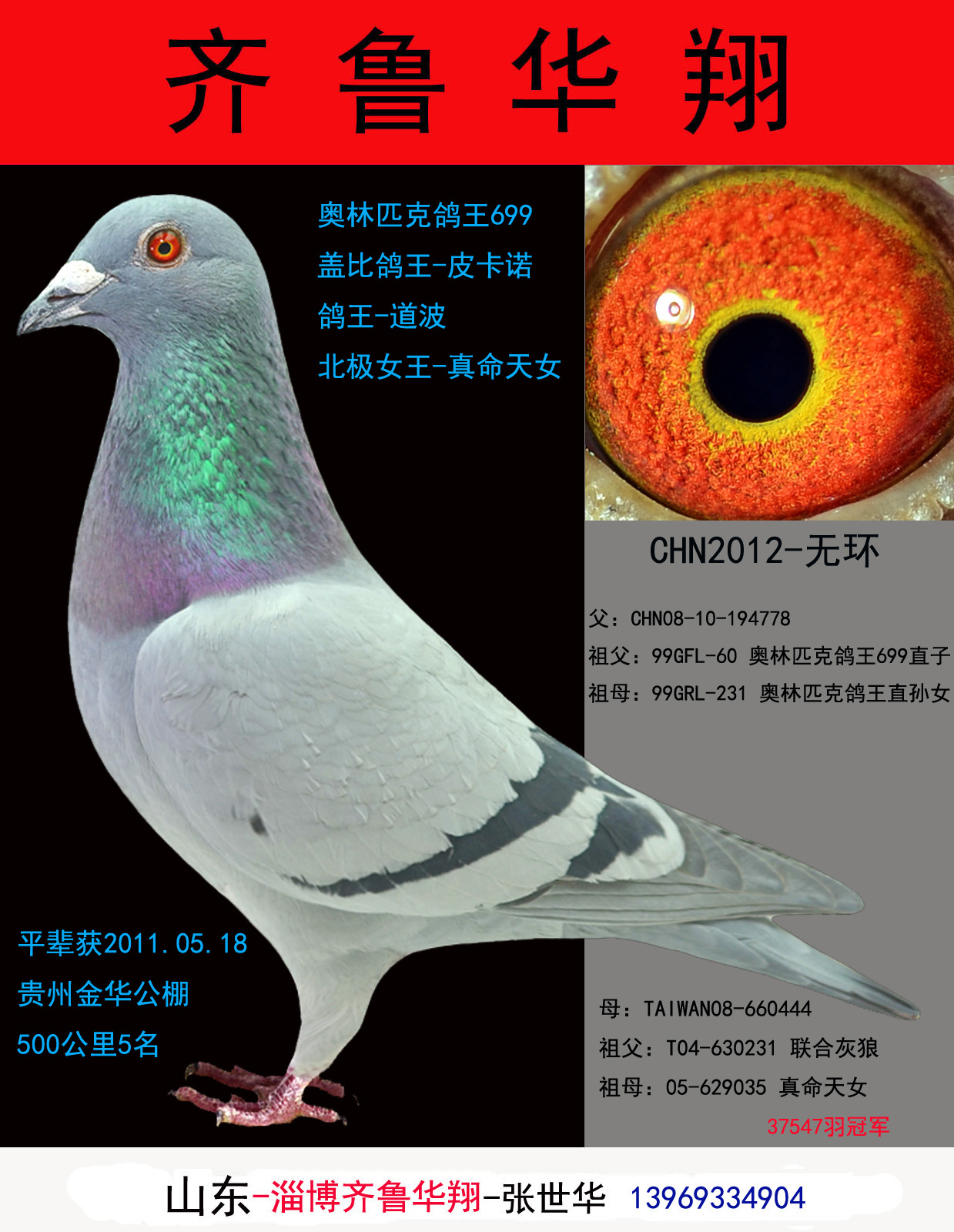 甘纳斯699*北极真命天女 保证金级 拍卖