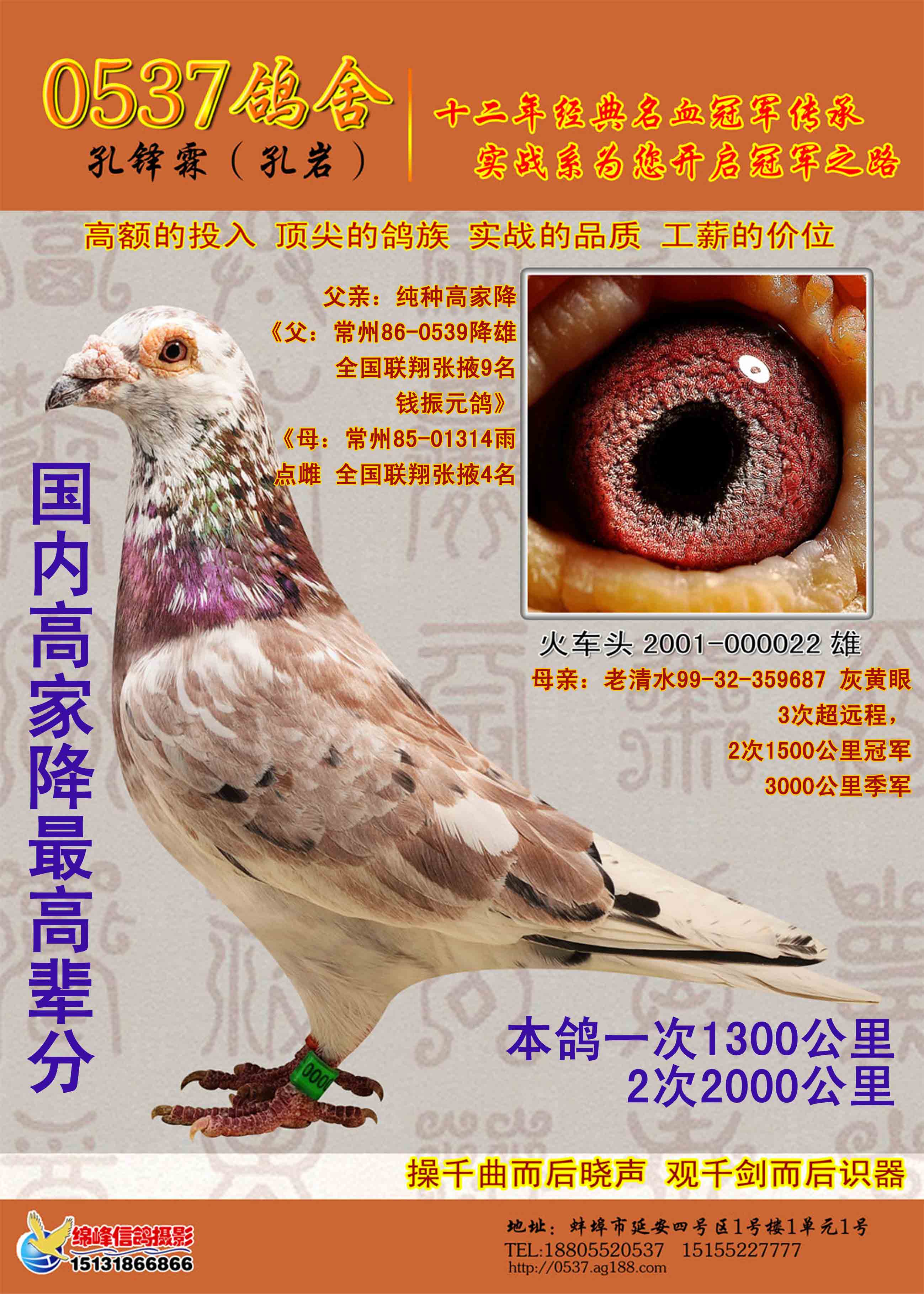 >> 查看拍卖商品