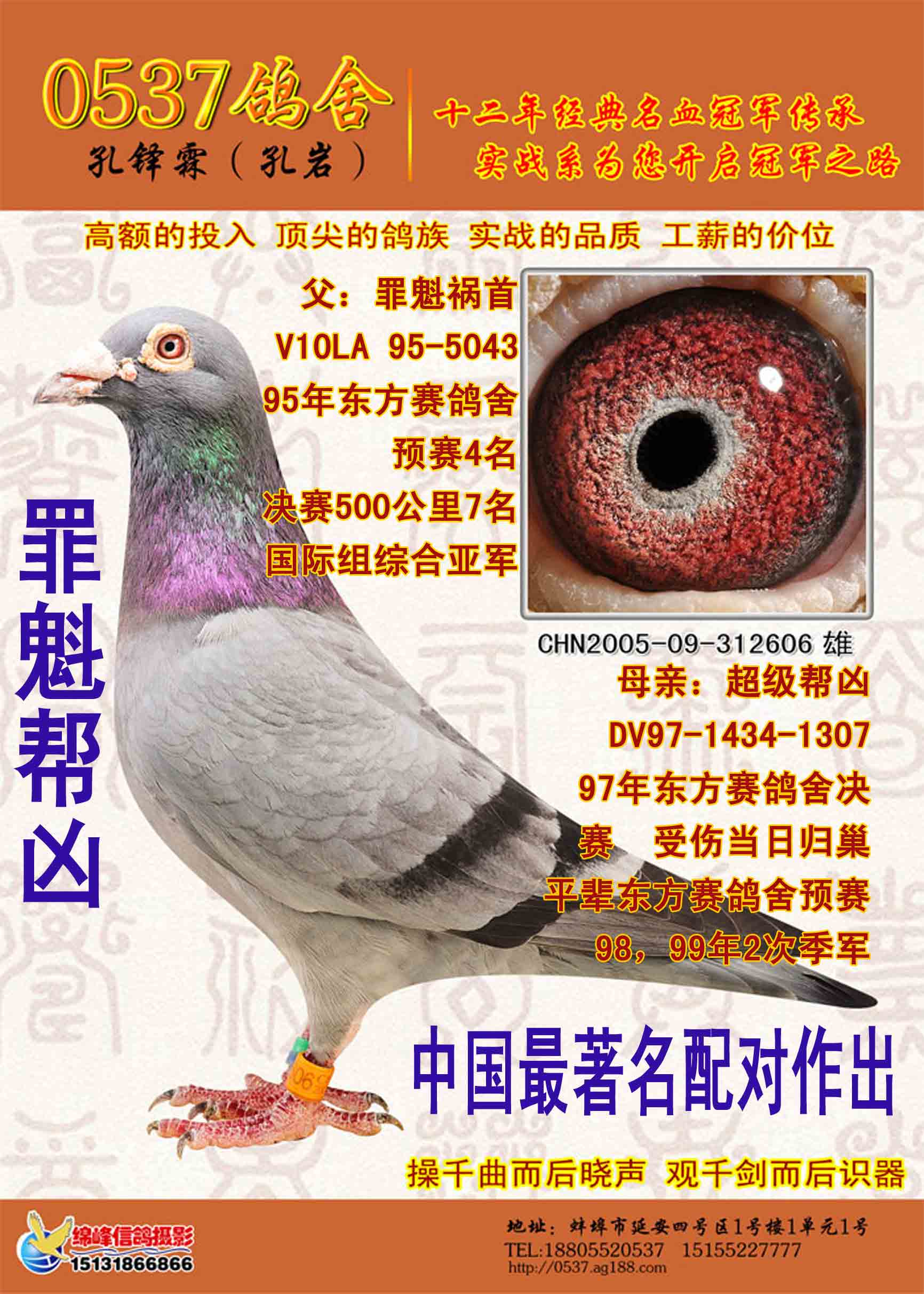 >> 查看拍卖商品