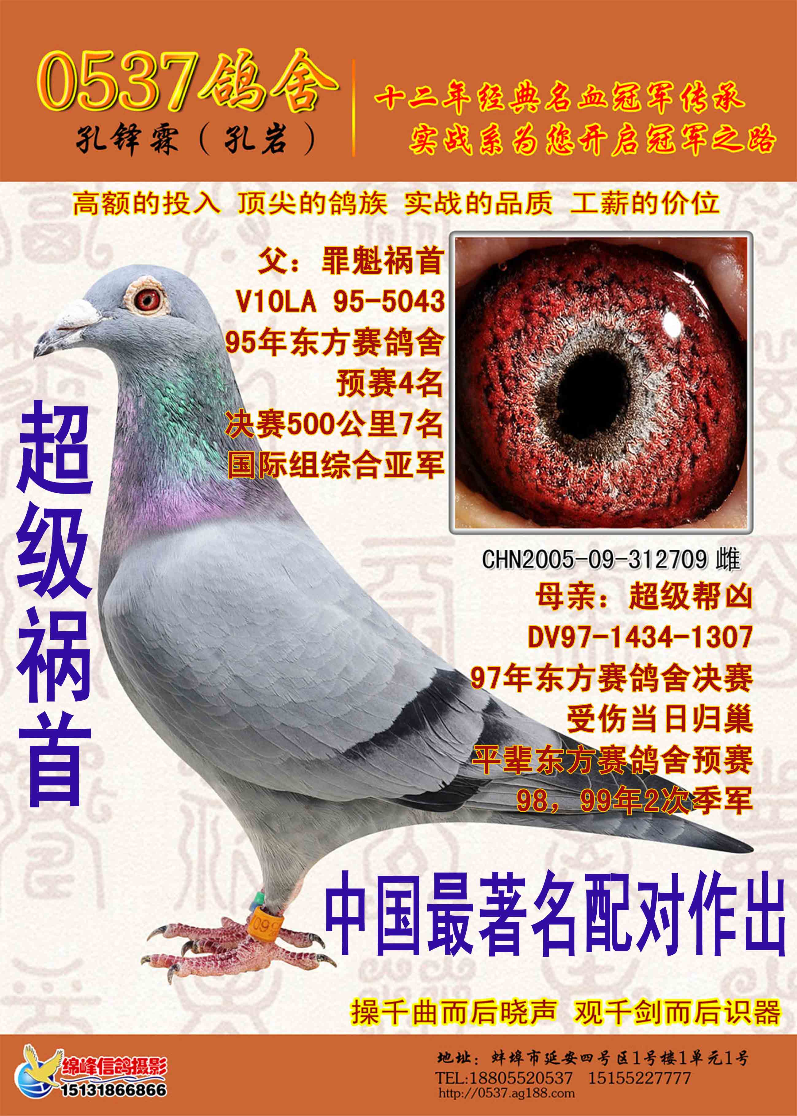 0537鸽舍 - 中信网铭鸽展厅 www.ag188.com