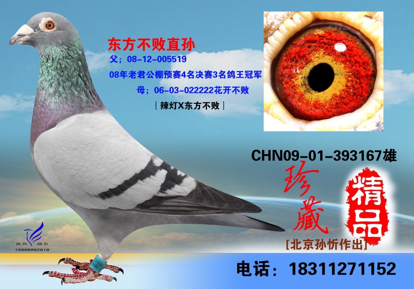 北京信鸽文化传媒 - 中信网铭鸽展厅 www.ag188.com