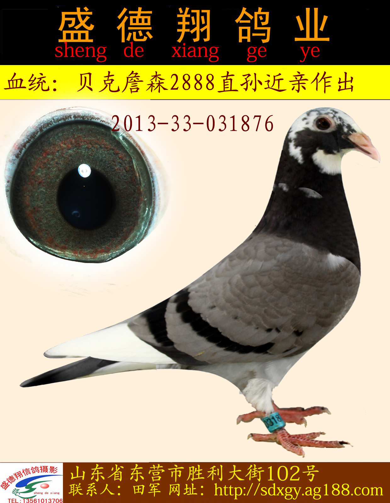 贝克詹森2888直孙配直孙女近亲作出 保证金级 拍卖