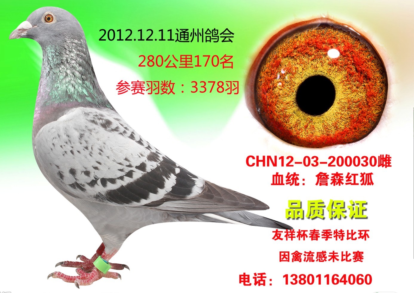 北京信鸽文化传媒 - 中信网铭鸽展厅 www.ag188.com