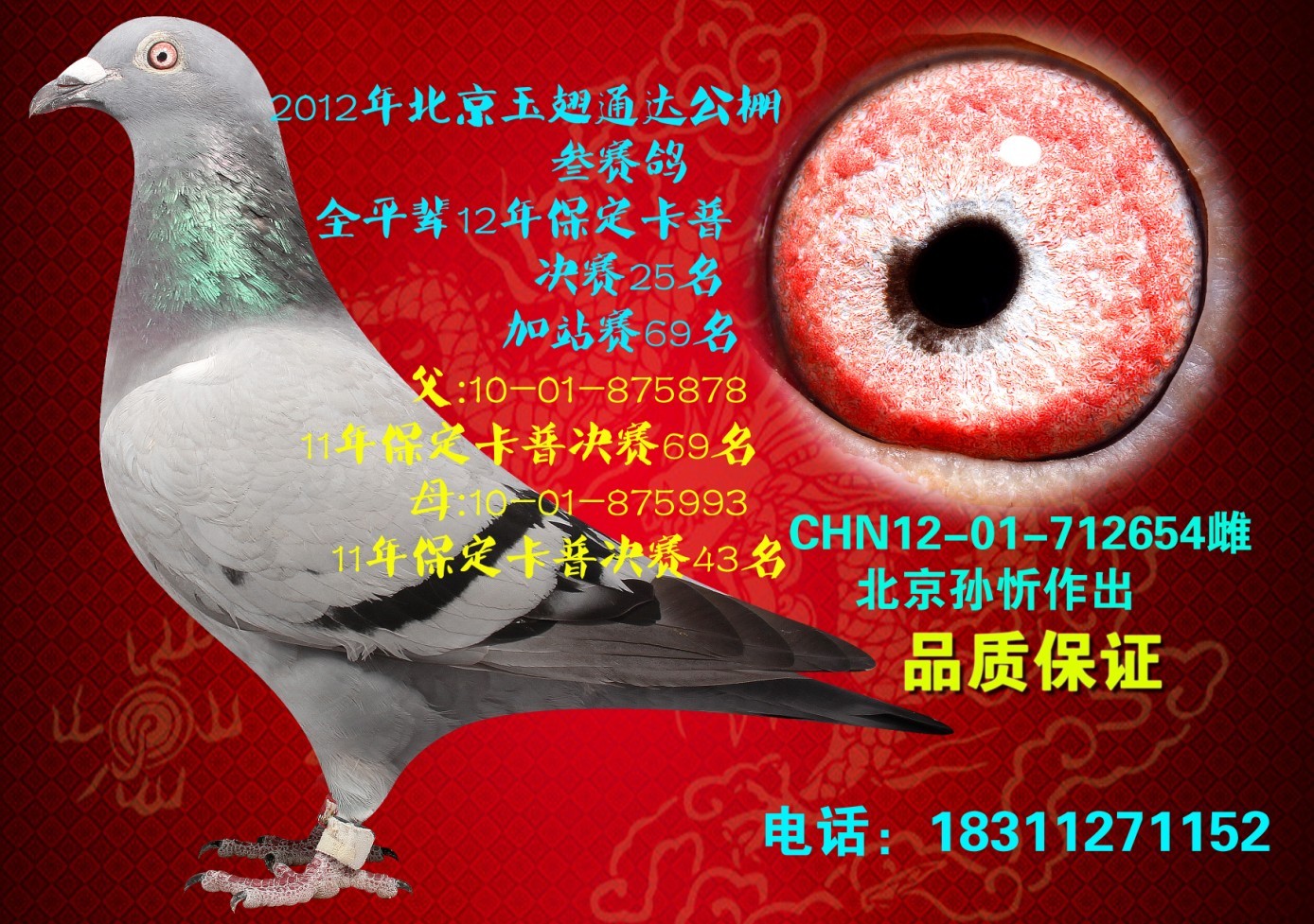北京信鸽文化传媒 - 中信网铭鸽展厅 www.ag188.com