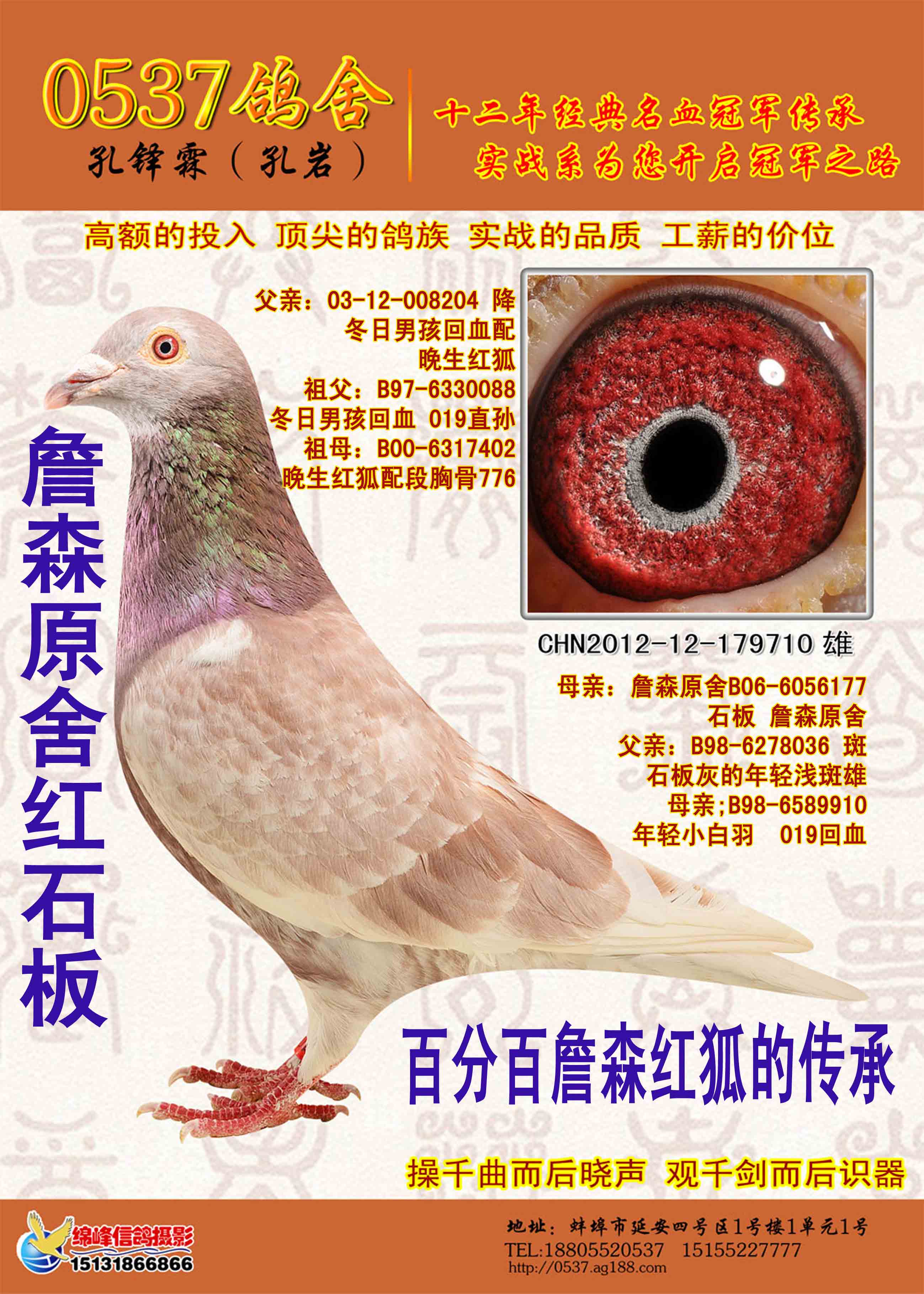 >> 查看拍卖商品